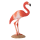Mojo Amerikaanse Flamingo 387134