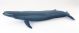 Papo Wild Life Blauwe Vinvis 56037