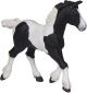 Papo Horses Paard Zwart Cob Veulen 51508