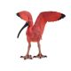 Papo Wild Life Scharlaken Ibis 50314