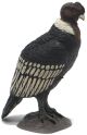 Papo Wilf Life Condor 50293