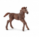 Schleich Horse Club Paard Engelse Volbloed Veulen 13857 