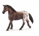 Schleich Horse Club Paard Appaloosa Merrie 13861 