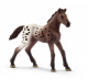 Schleich Horse Club Paard Appaloosa Veulen 13862 