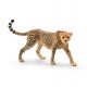 Schleich Wild Life Cheetah vrouwelijk 14746 