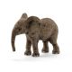 Schleich Wild Life Afrikaanse Olifant kalf 14763 