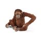 Schleich Wild Life Orang-oetan vrouwelijk 14775