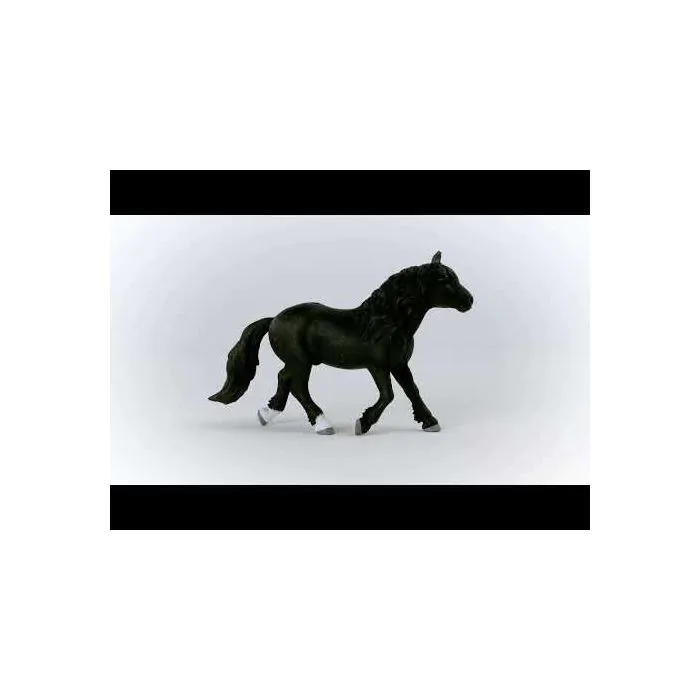 Schleich 13958 Stallone Noriker - Figura Cavallo In Miniatura Per Bambini 3+ - Farm World - Collezionabile 17x11 Cm