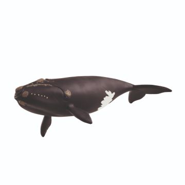 Schleich Wild Life Noord-Atlantische Walvis 14878