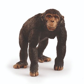 Schleich Wild Life Chimpansee 14883