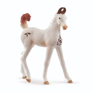 Schleich Horse Club Marwari veulen 14896