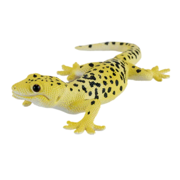 Mojo Wild Life Luipaard Gekko 381077