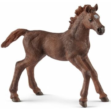 Schleich Horse Club Engelse Volbloed Veulen 13857 