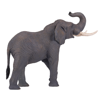 Mojo Wild Life Afrikaanse Olifant 381005