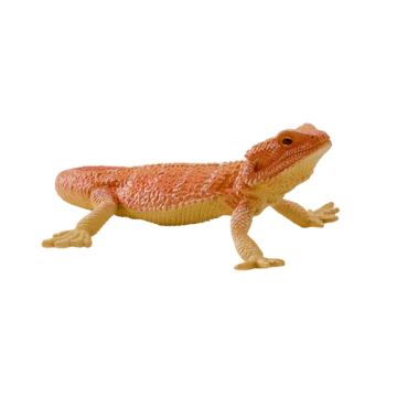Mojo Wild Life Baardagaam 381096