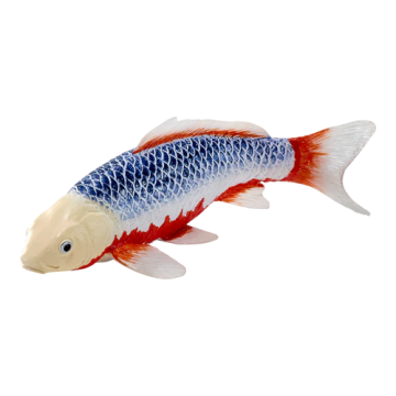 Mojo Farmland Koi karper - Asagi Koi (blauw rood) 381100 Mojo Farmland Koi karper - Asagi Koi (blauw rood) 381100