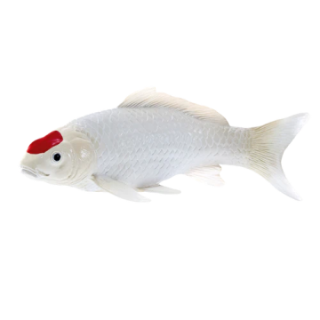 Mojo Farmland Koi Karper - Tancho Koi (rode stip) 381101