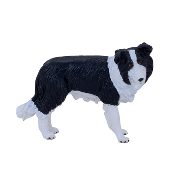 Mojo Farmland Bordercollie 387203
