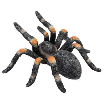 Mojo Wild Life Rode Knietarantula 387213