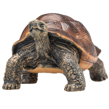 Mojo Wild Life Reuzenschildpad 387259