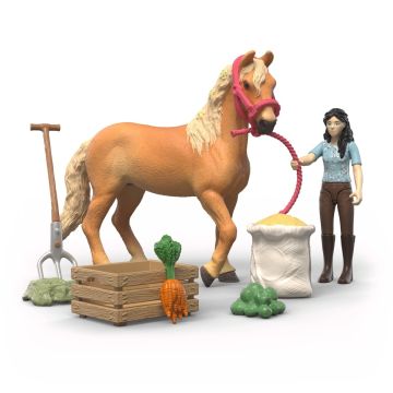 Schleich Horse Club Emily's Verzorgingsset 42797