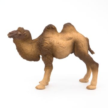 Papo Wild Life Bactrische Kameel 50129