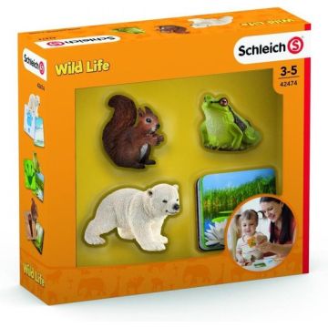 Schleich Wild Life Leerkaarten 42474