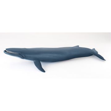 Papo Wild Life Blauwe Vinvis 56037