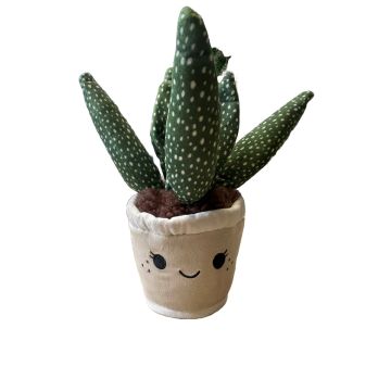 Take Me Home plant pluche Aloe Vera 19-27cm 660543
