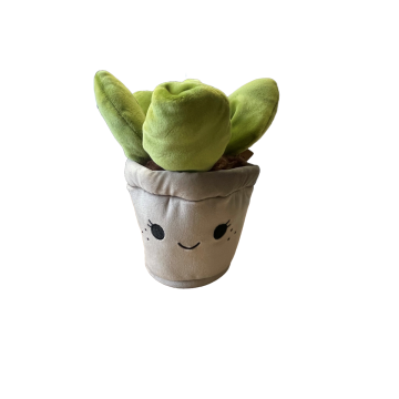 Take Me Home plant pluche Vetplant 19-27cm 660543