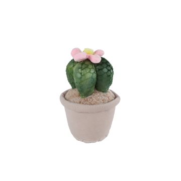 Take Me Home Woestijnplant pluche L Roze Bloem Cactus 25cm 661164