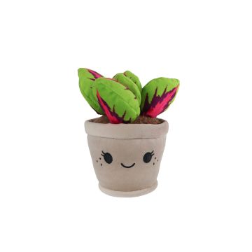 Take Me Home Prints L pluche Calathea 24cm 661166 Take Me Home Prints L pluche Calathea 24cm 661166