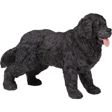 Papo Wild Life Hond Newfoundlander 54018 