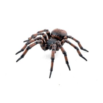 Papo Wild Life Gewone spin 50292 Papo Wild Life Gewone spin 50292