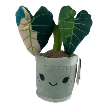 Take Me Home Prints L pluche Alocasia 24cm 661166 Take Me Home Prints L pluche Alocasia 24cm 661166