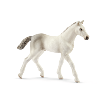 Schleich Horse Club Paard Holsteiner Veulen 13860 