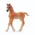 Schleich Horse Club Paard Arabisch Veulen 13984
