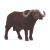 Schleich Wild Life Kaapse buffel 14872