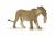 Papo Wild Life Leeuwin met Welp 50043