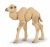 Papo Wild Life Kameel Kalf 50221