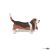 Papo Farm Life Hond Basset Hound 54012