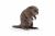 Papo Wild Life Bever 50110