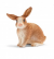Schleich Farm World Konijn 13827 