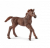 Schleich Horse Club Paard Engelse Volbloed Veulen 13857 