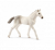 Schleich Horse Club Paard Holsteiner Veulen 13860 