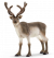Schleich Wild Life Rendier 14837