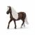 Schleich Farm World Paard Zwarte Woud Merrie 13898 