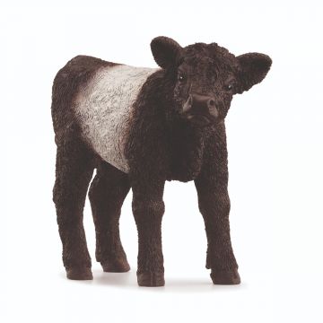 Schleich Farm World Galloway kalf 13969