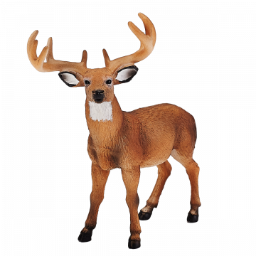 Mojo Wild Life Witstaarthert Bok 387038