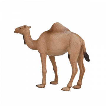 Mojo Wild Life Arabische kameel 387113